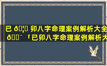 已 🦆 卯八字命理案例解析大全 🌴 「已卯八字命理案例解析大全图片」